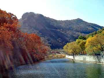 新澳门二四六天天彩，都市邪神燃文